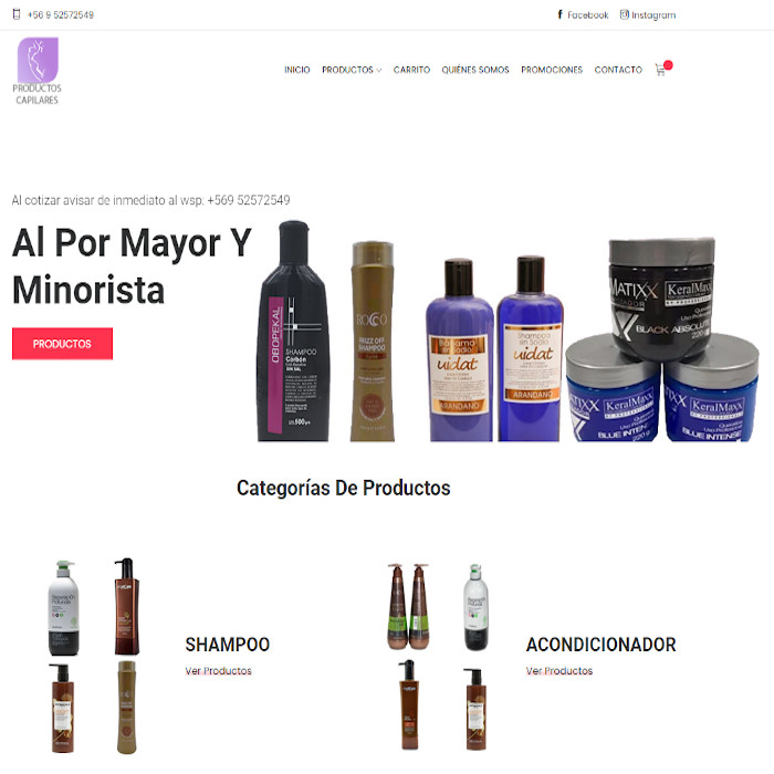 Sitio web productoscapilares